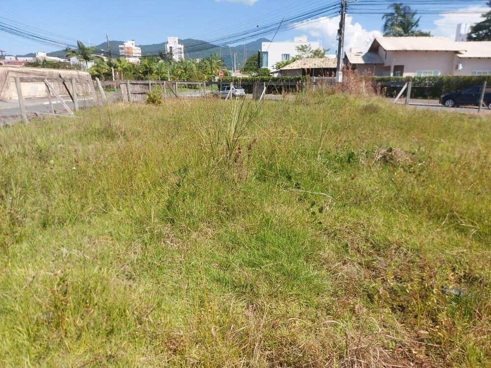 Terreno, 450 m² - Foto 1