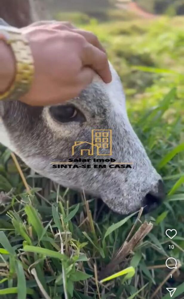 Terreno, 2 hectares - Foto 1