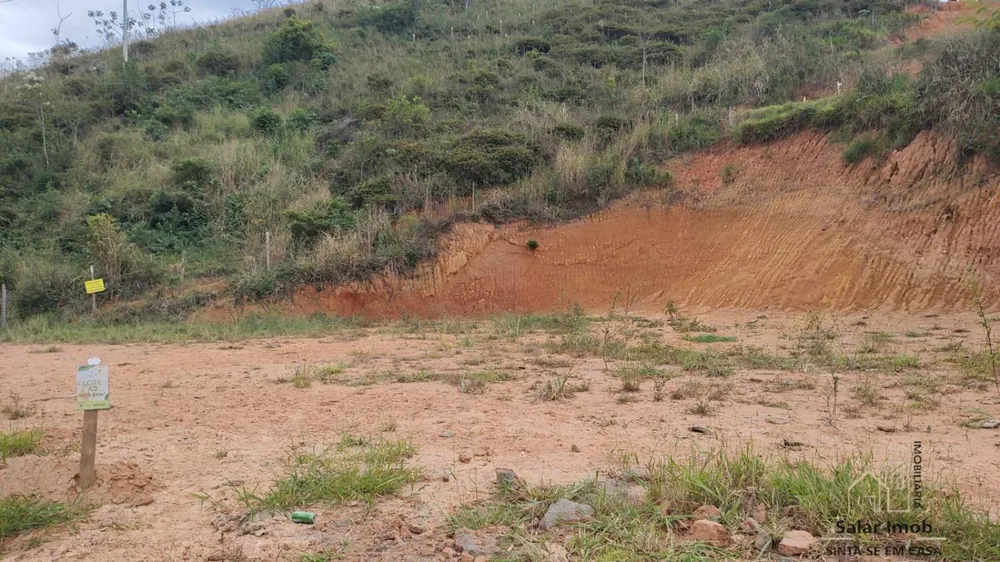 Terreno, 4 hectares - Foto 39