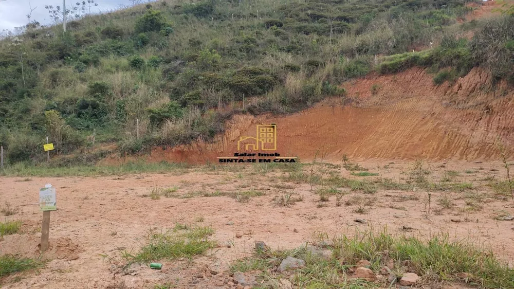 Terreno, 4 hectares - Foto 1