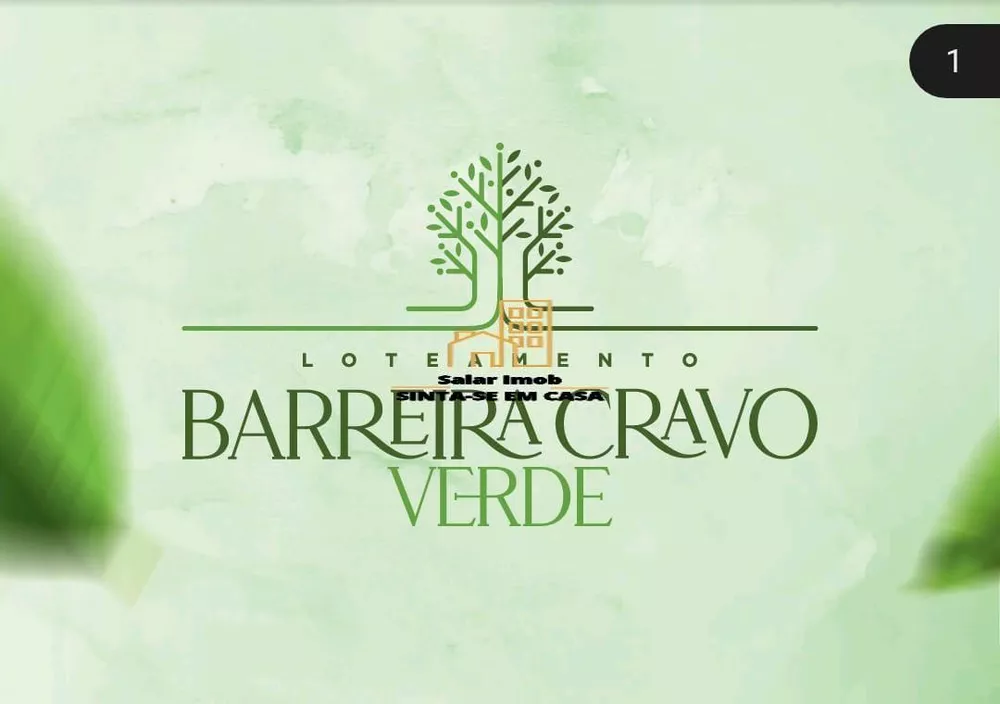 Terreno, 4 hectares - Foto 10