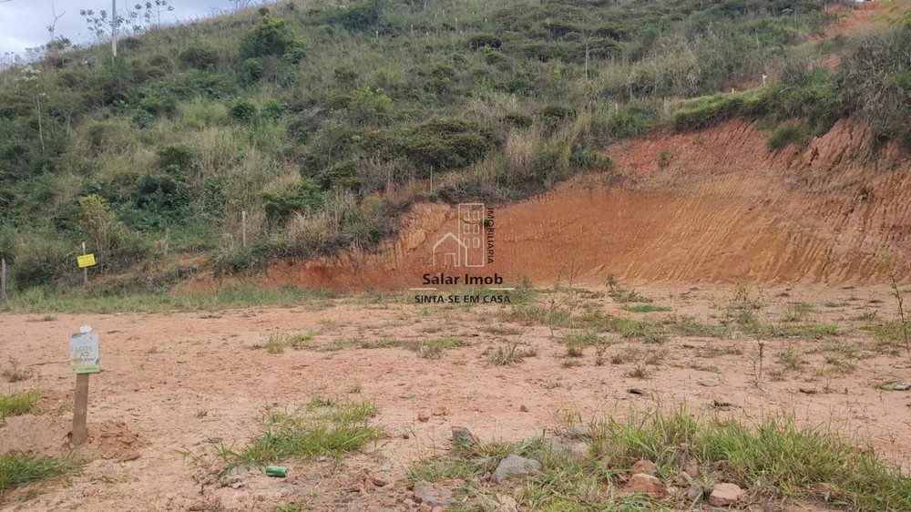 Terreno, 4 hectares - Foto 40