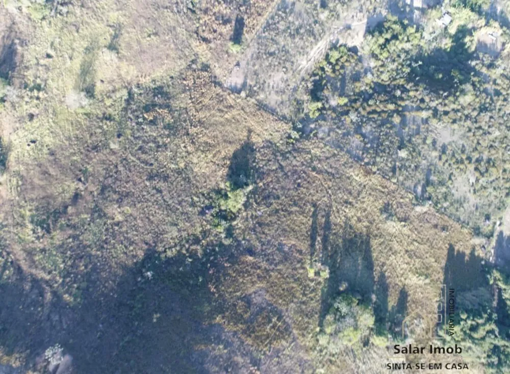 Terreno, 3 hectares - Foto 6