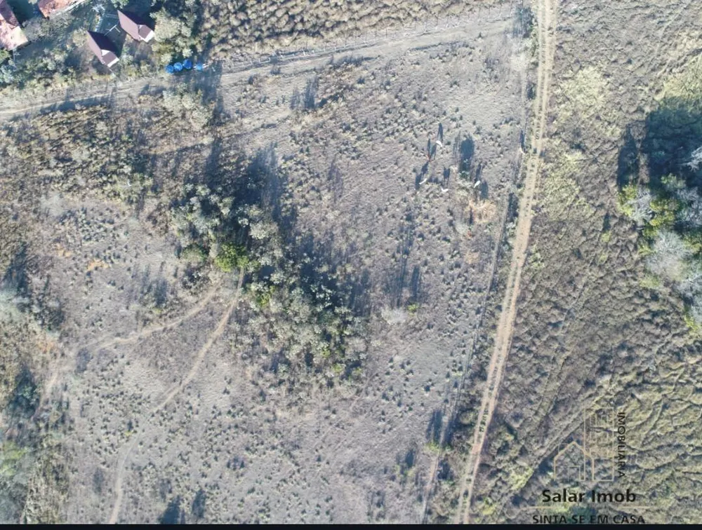 Terreno, 3 hectares - Foto 4
