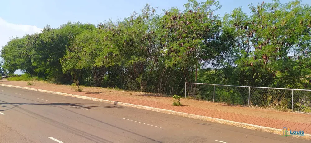 Loteamento e Condomínio, 2 hectares - Foto 4