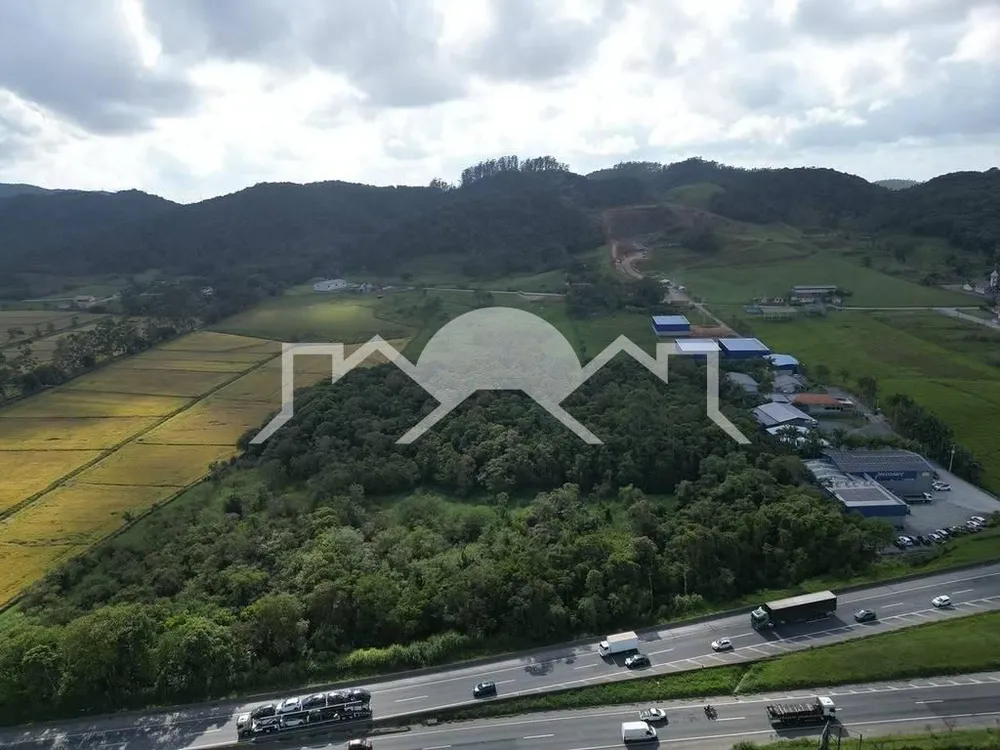 Terreno, 5 hectares - Foto 3