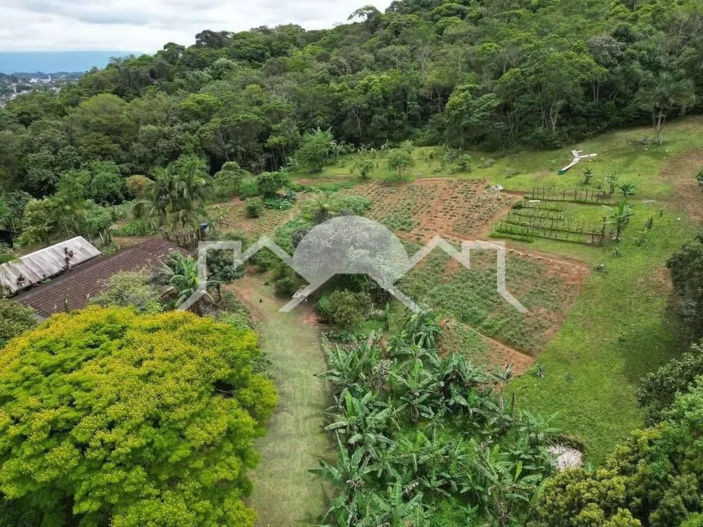 Terreno, 5 hectares - Foto 3