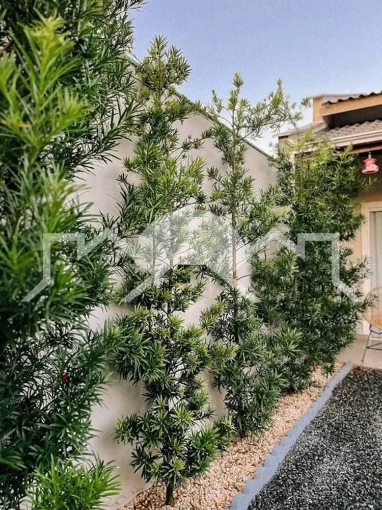 Casa, 2 quartos, 110 m² - Foto 4