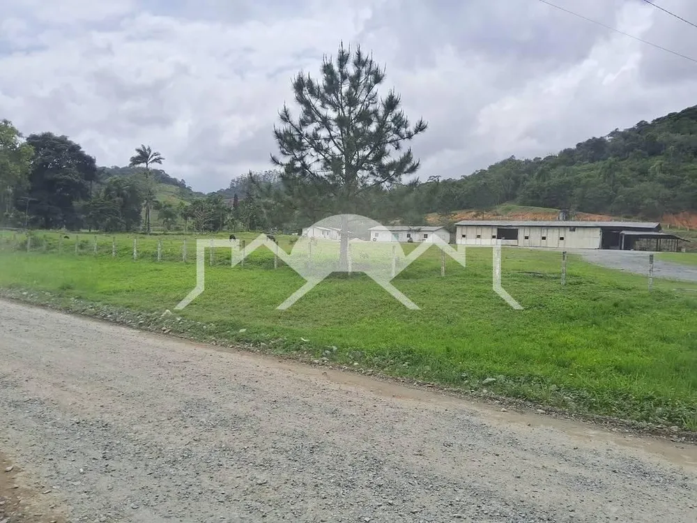 Terreno, 26 hectares - Foto 3