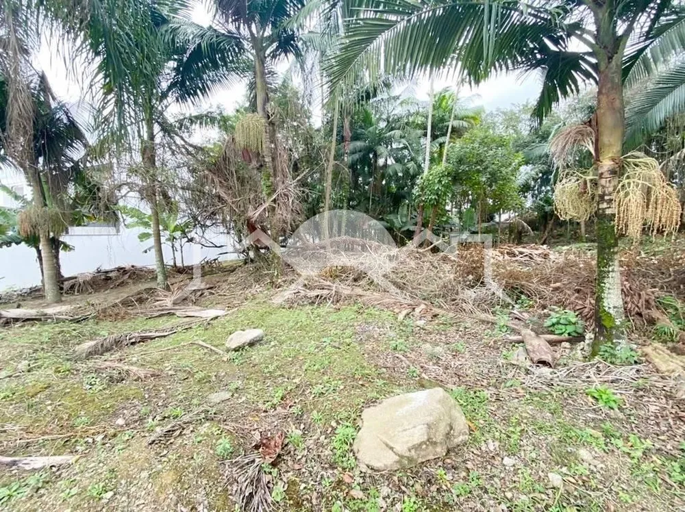 Terreno, 1472 m² - Foto 3