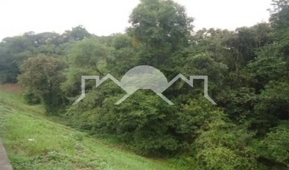 Terreno, 2 hectares - Foto 2