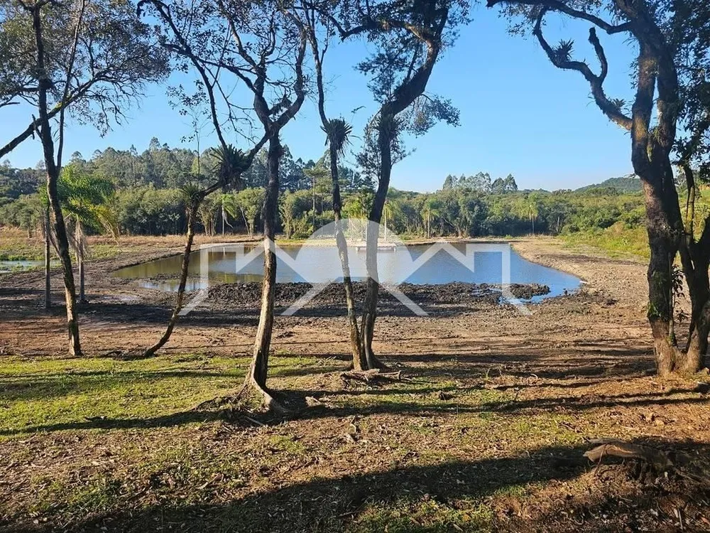 Terreno, 10000 m² - Foto 3