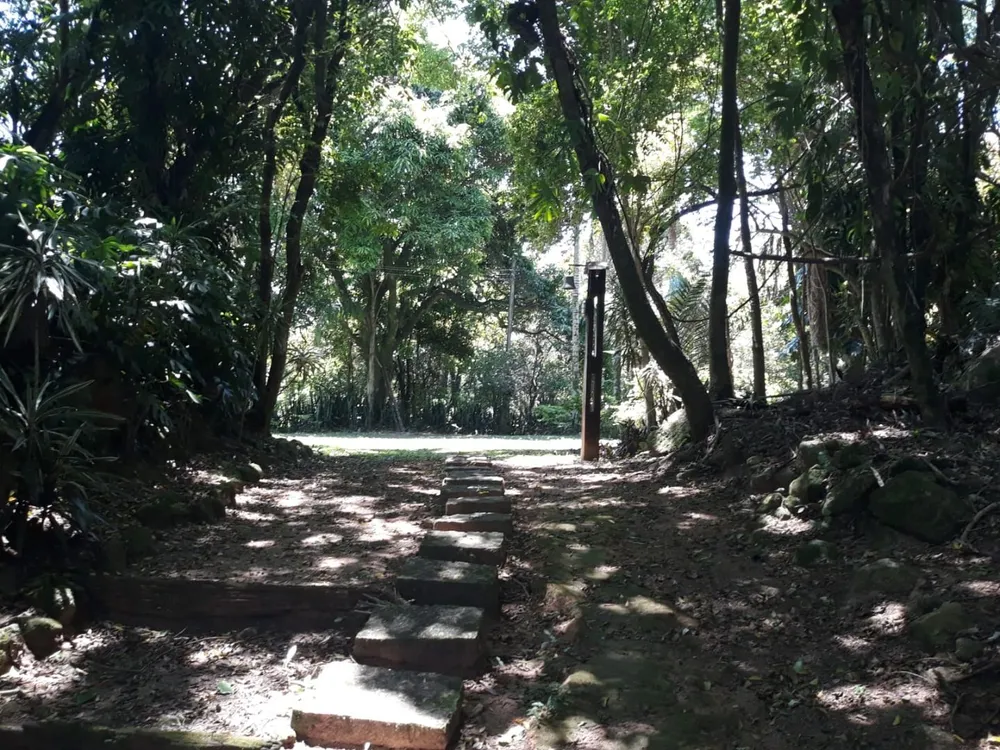 Terreno, 8 hectares - Foto 4