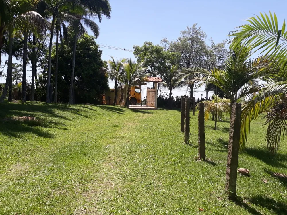 Terreno, 8 hectares - Foto 3