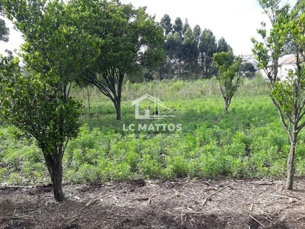 Terreno, 5760 m² - Foto 7