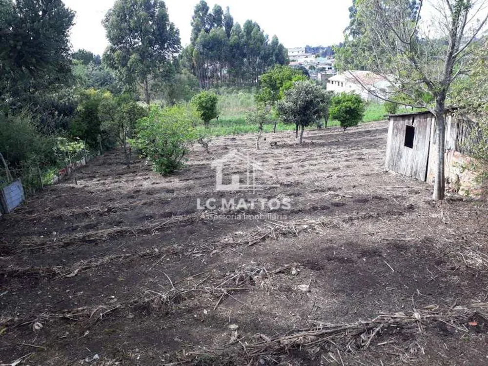 Terreno, 5760 m² - Foto 5
