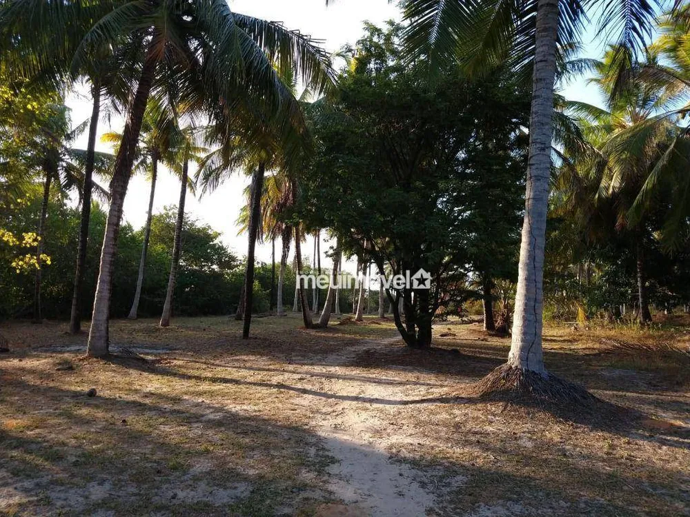Terreno, 9 hectares - Foto 2