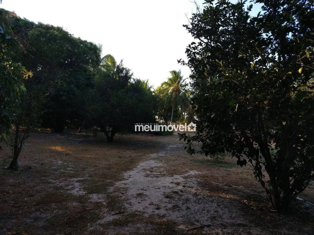 Terreno, 9 hectares - Foto 4