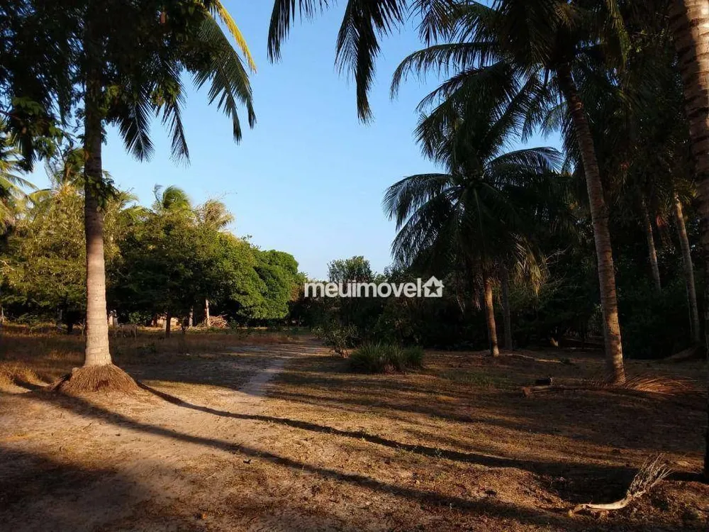 Terreno, 9 hectares - Foto 1