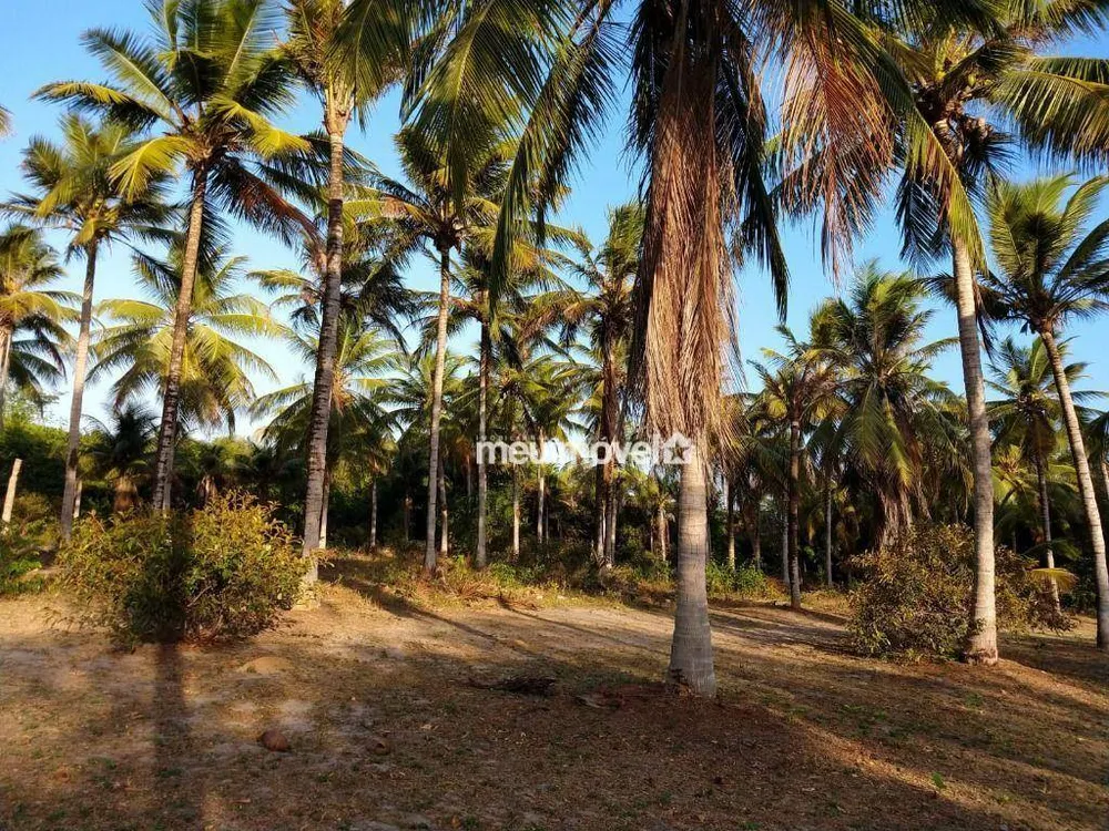Terreno, 9 hectares - Foto 3