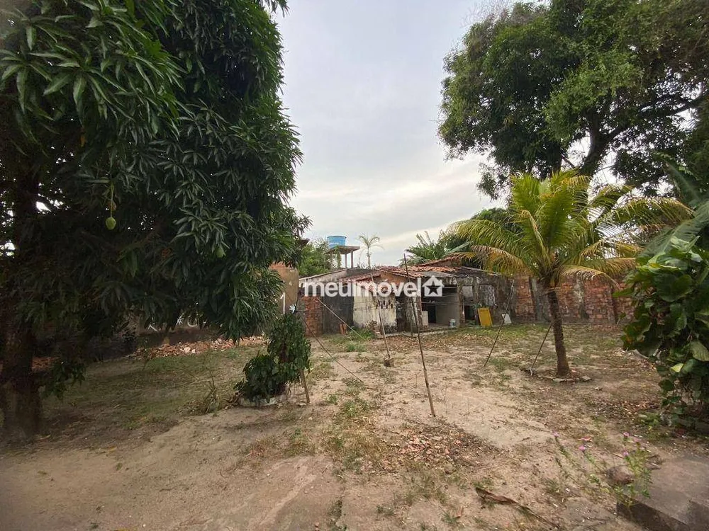 Terreno, 2306 m² - Foto 3
