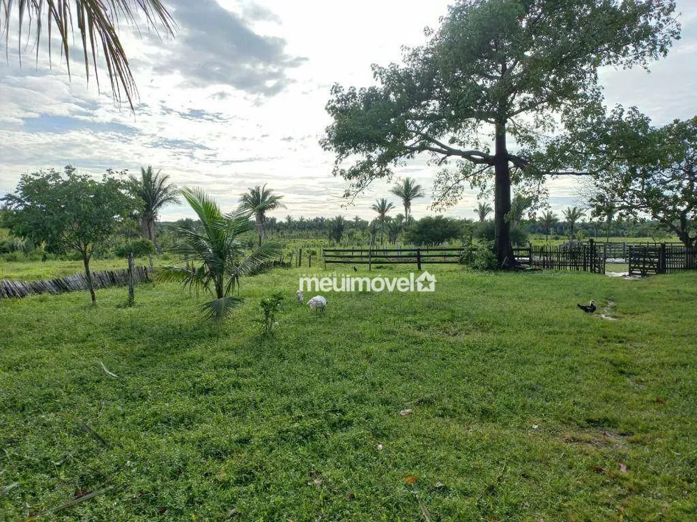 Fazenda, 200 hectares - Foto 4