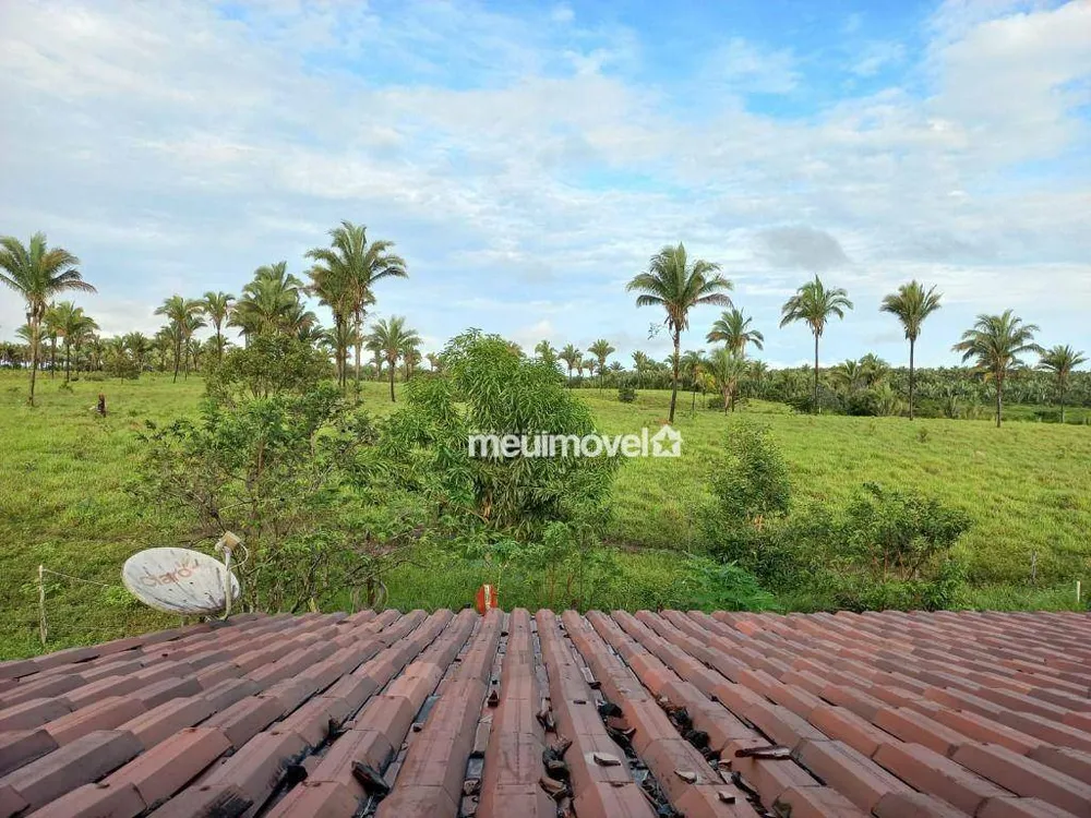 Fazenda, 200 hectares - Foto 3