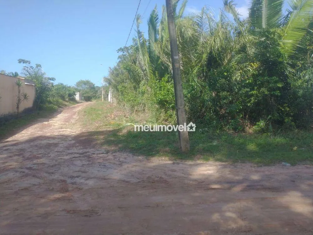 Terreno, 330 m² - Foto 3
