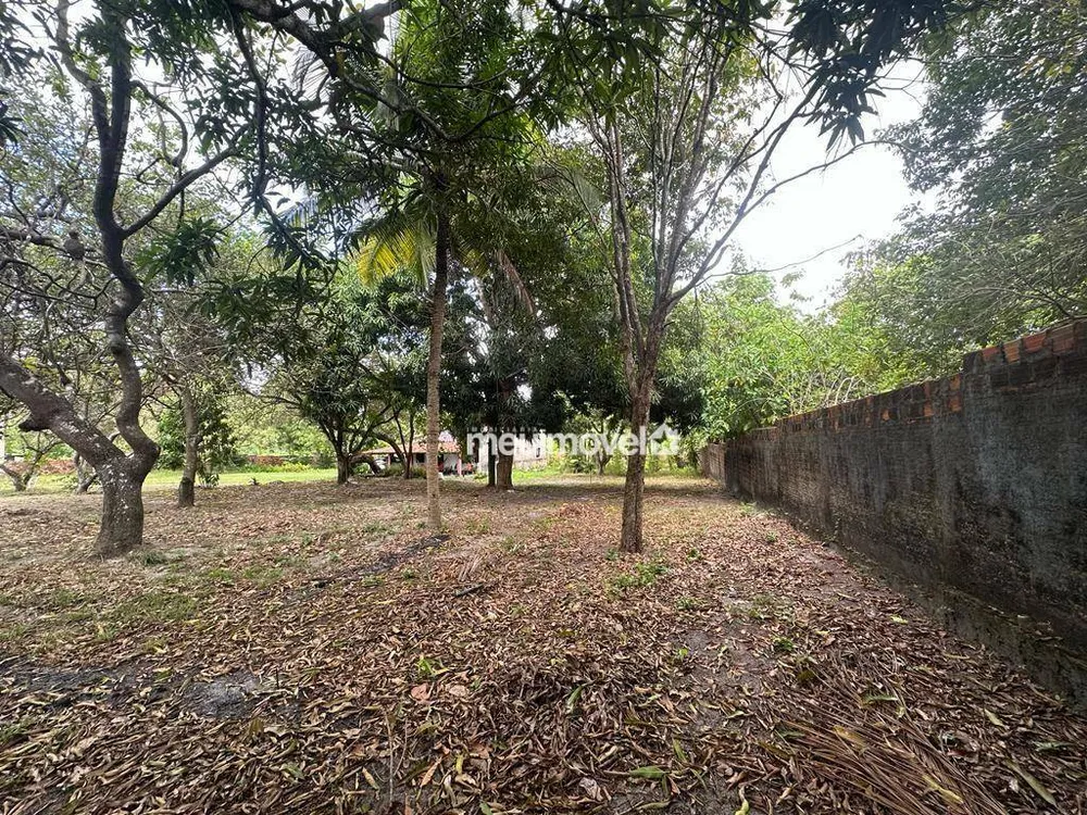 Sítio, 3 quartos, 3346 m² - Foto 4