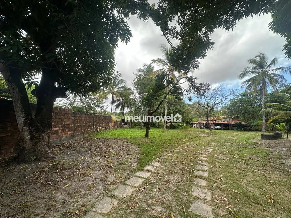 Sítio, 3 quartos, 3346 m² - Foto 1