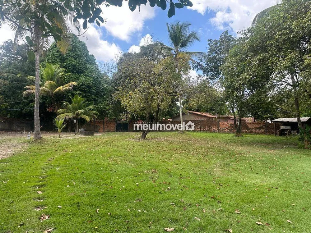 Sítio, 3 quartos, 3346 m² - Foto 3