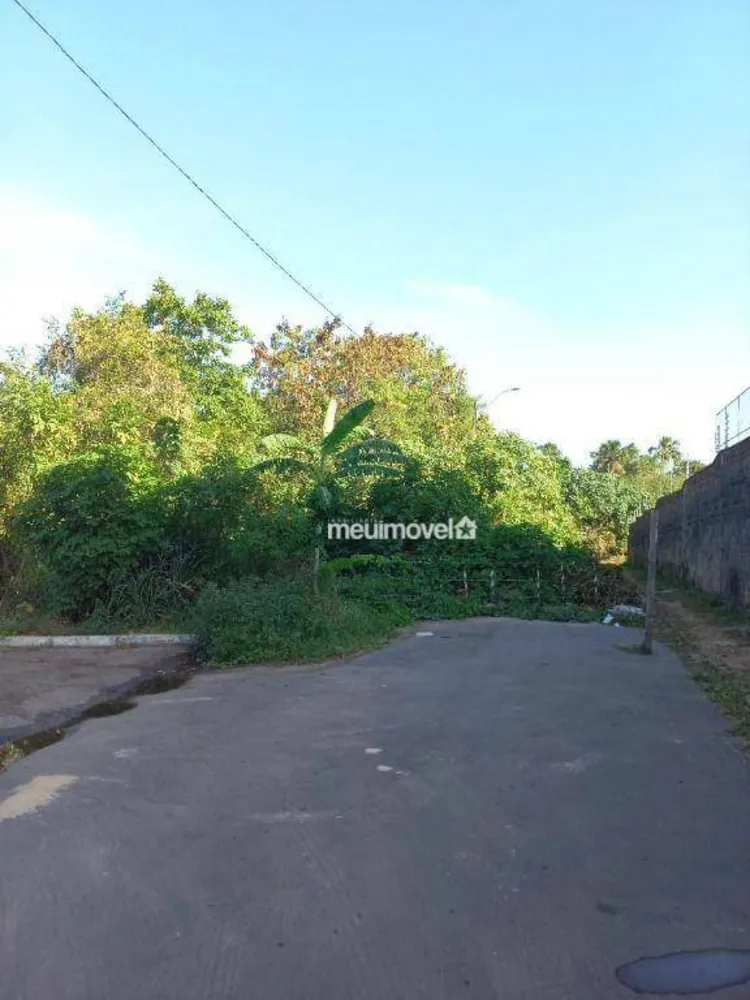 Terreno, 1260 m² - Foto 2