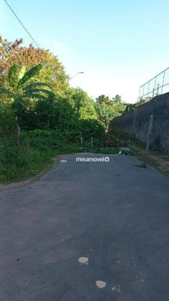 Terreno, 1260 m² - Foto 1