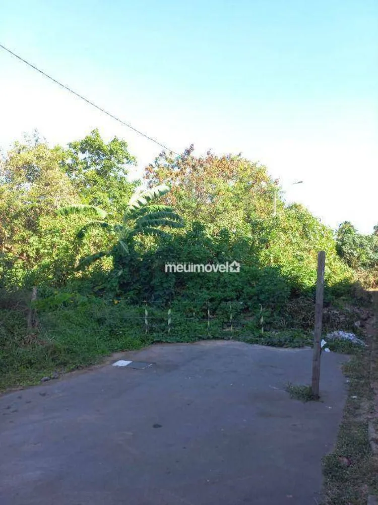 Terreno, 1260 m² - Foto 3