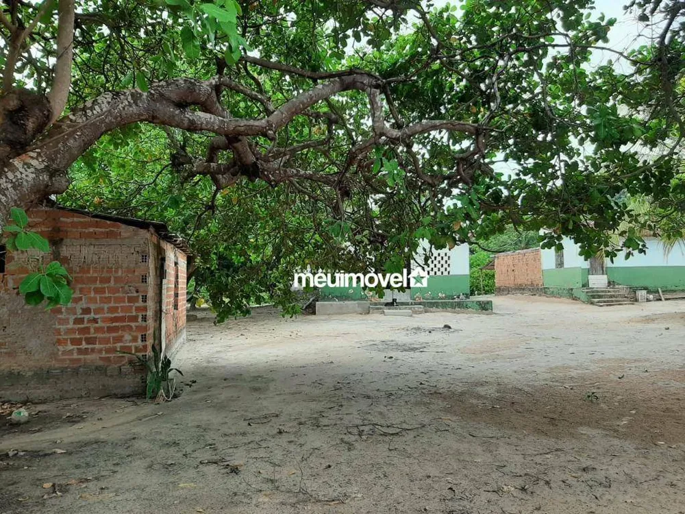 Terreno, 5000 m² - Foto 1