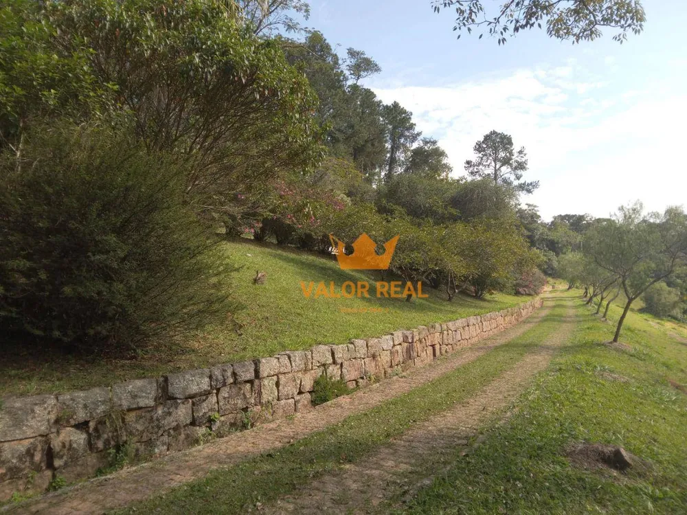 Sítio, 15 quartos, 10 hectares - Foto 18