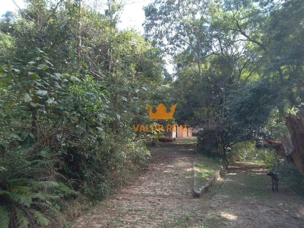 Sítio, 15 quartos, 10 hectares - Foto 14