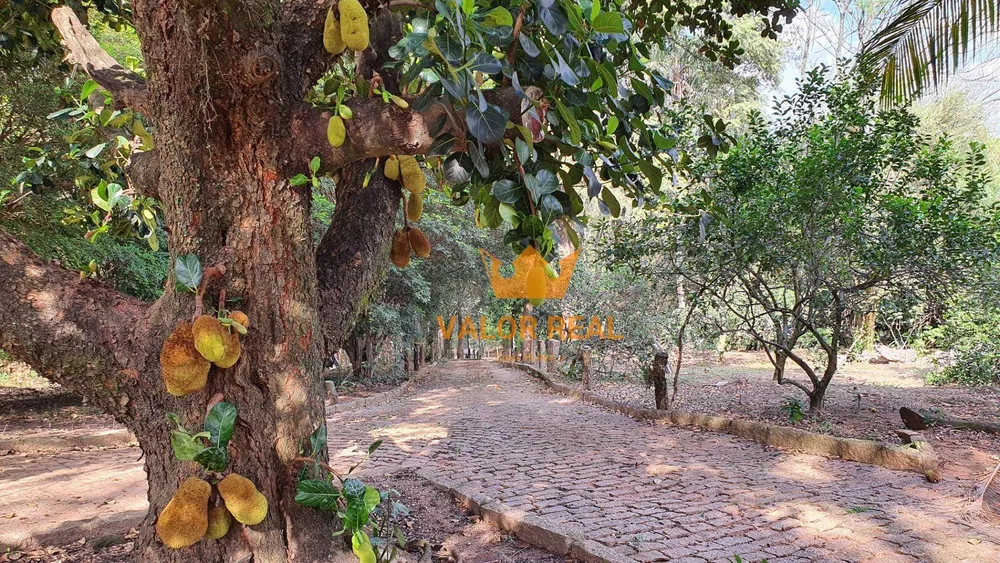 Chácara, 3 quartos, 2 hectares - Foto 15