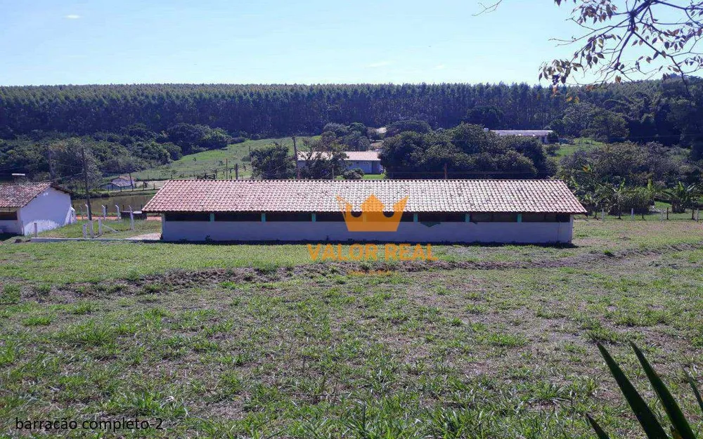 Sítio, 4 quartos, 2 hectares - Foto 4
