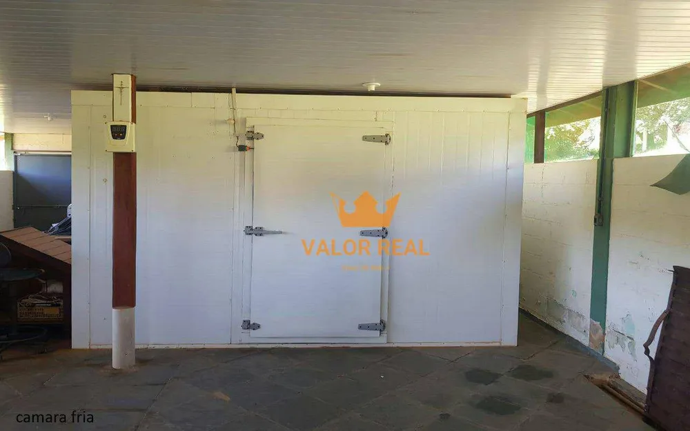 Sítio, 4 quartos, 2 hectares - Foto 12