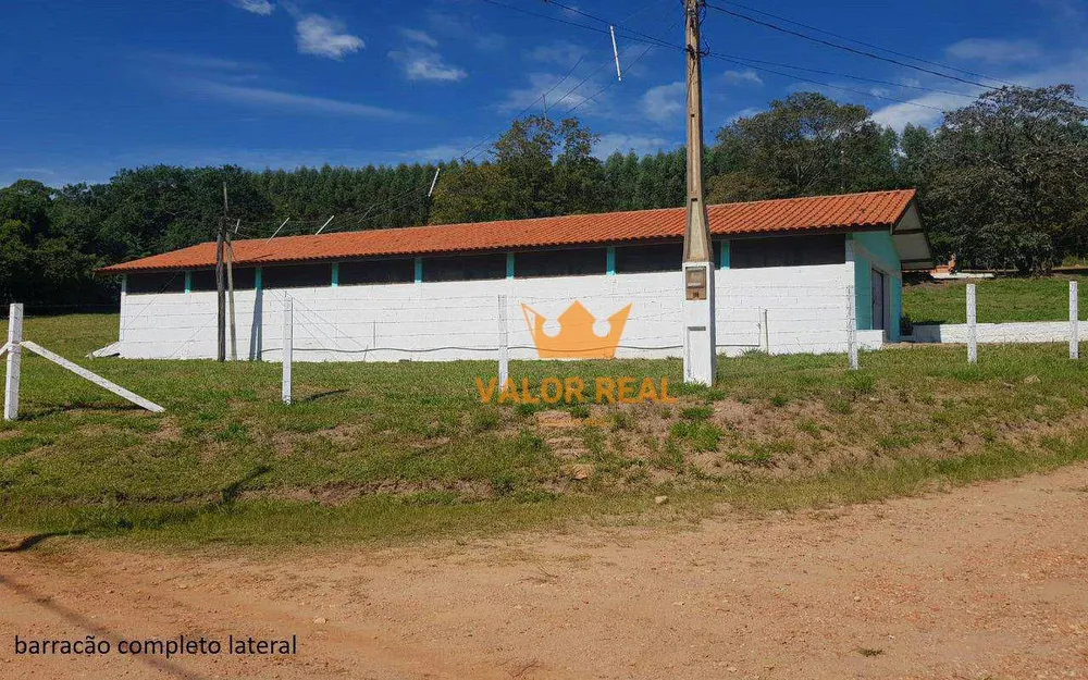 Sítio, 4 quartos, 2 hectares - Foto 2