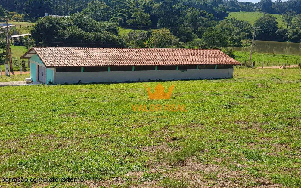 Sítio, 4 quartos, 2 hectares - Foto 3