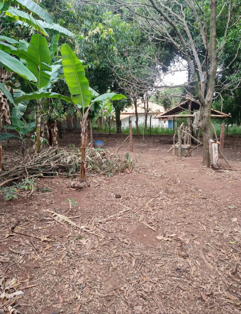 Chácara, 4 quartos, 4000 m² - Foto 12