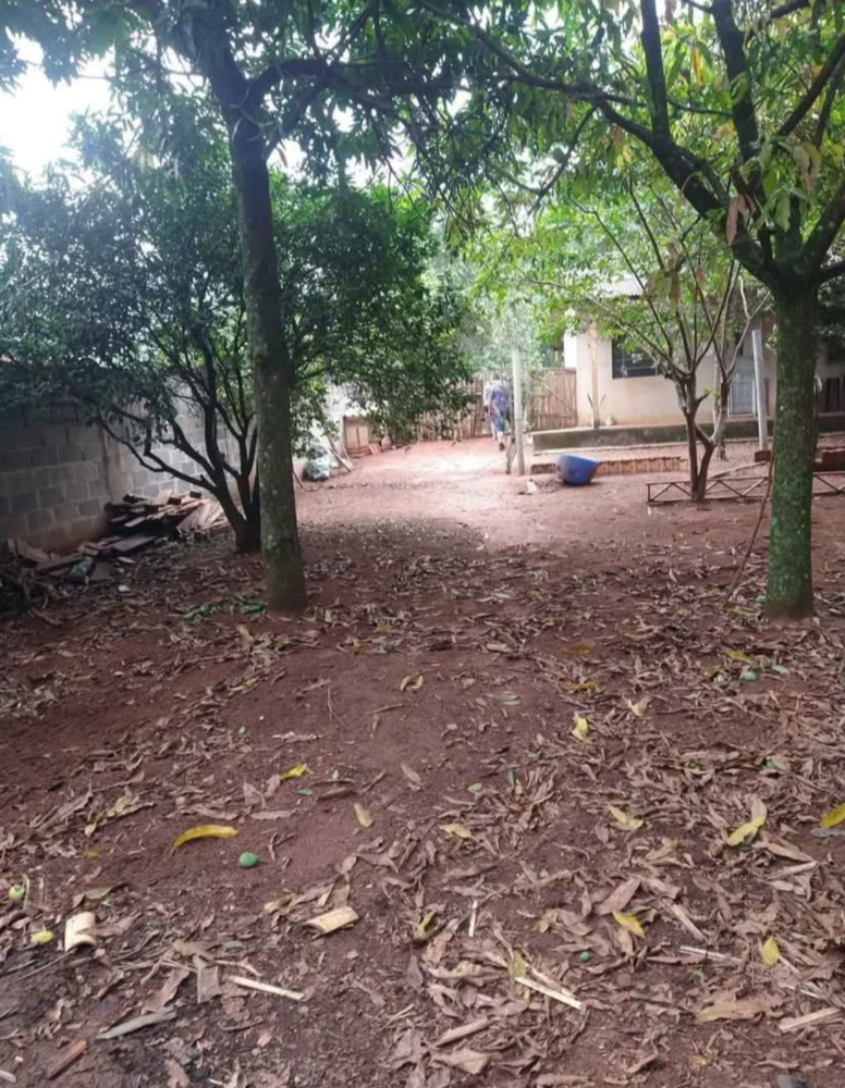 Chácara, 4 quartos, 4000 m² - Foto 3