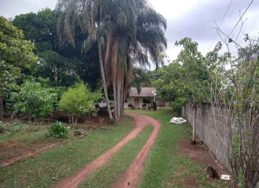 Chácara, 4 quartos, 4000 m² - Foto 9