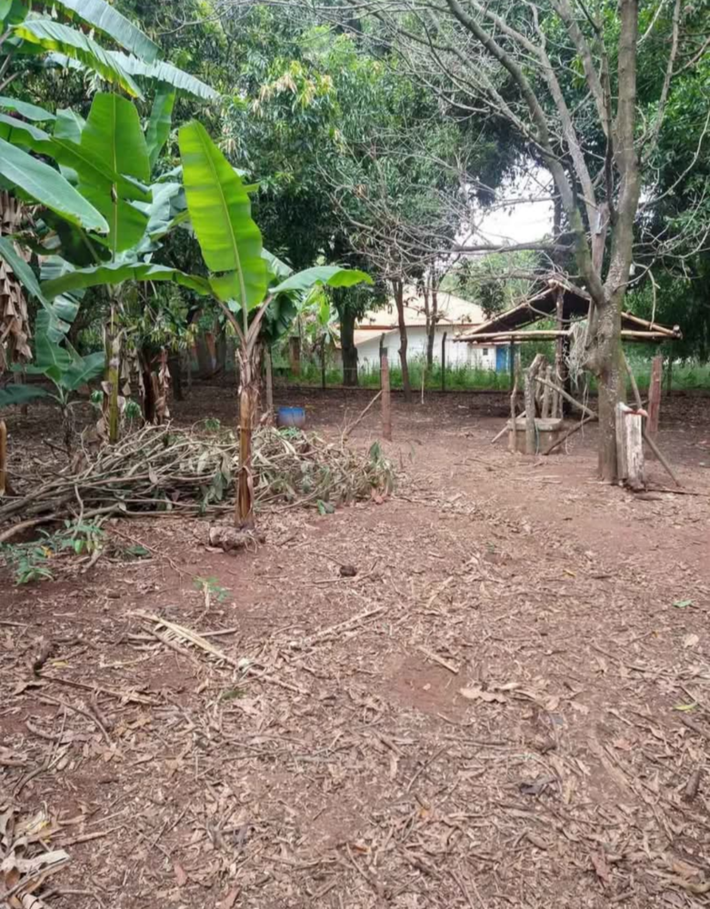 Chácara, 4 quartos, 4000 m² - Foto 2