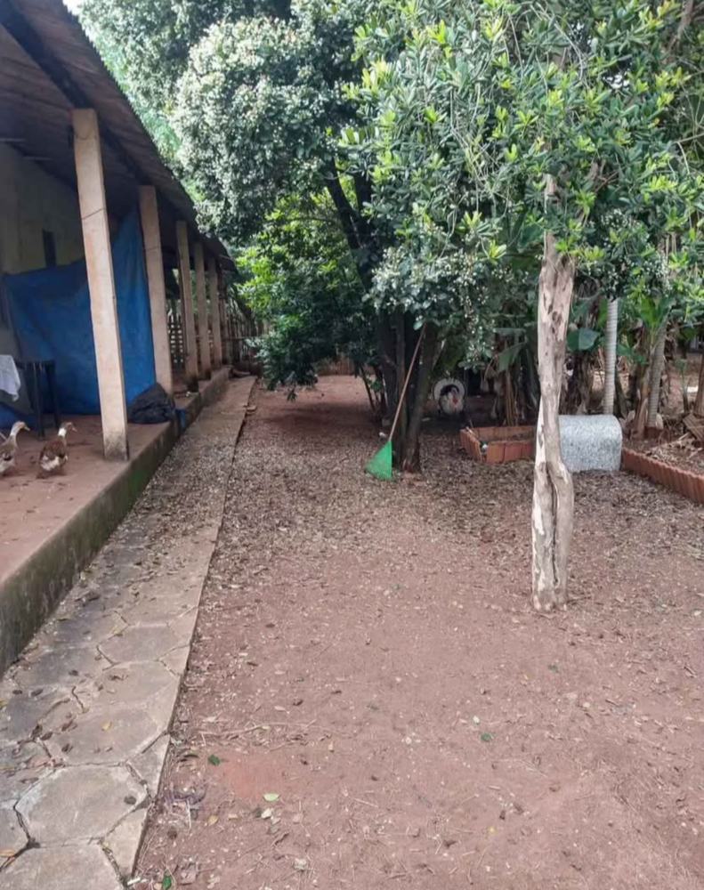 Chácara, 4 quartos, 4000 m² - Foto 5
