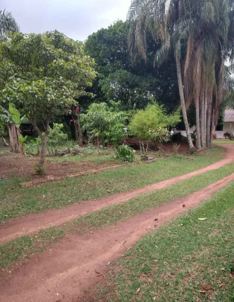 Chácara, 4 quartos, 4000 m² - Foto 8