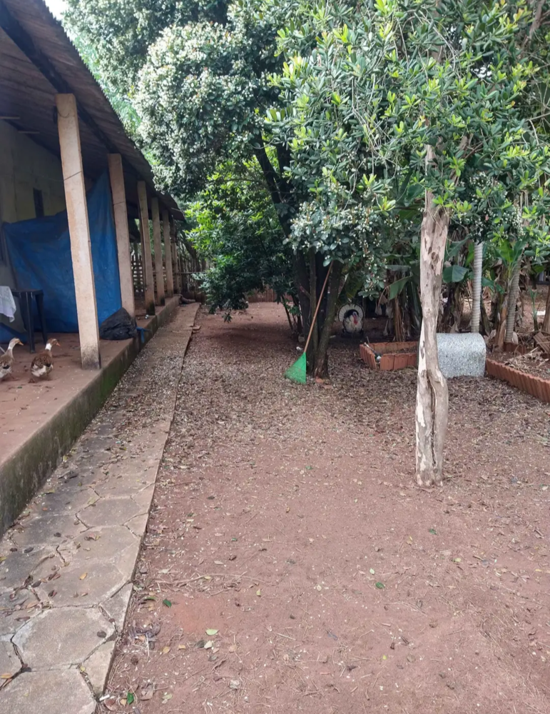 Chácara, 4 quartos, 4000 m² - Foto 15