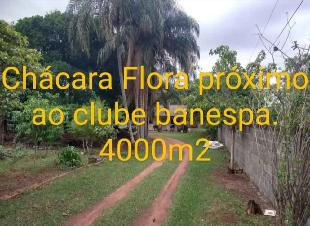 Chácara, 4 quartos, 4000 m² - Foto 11